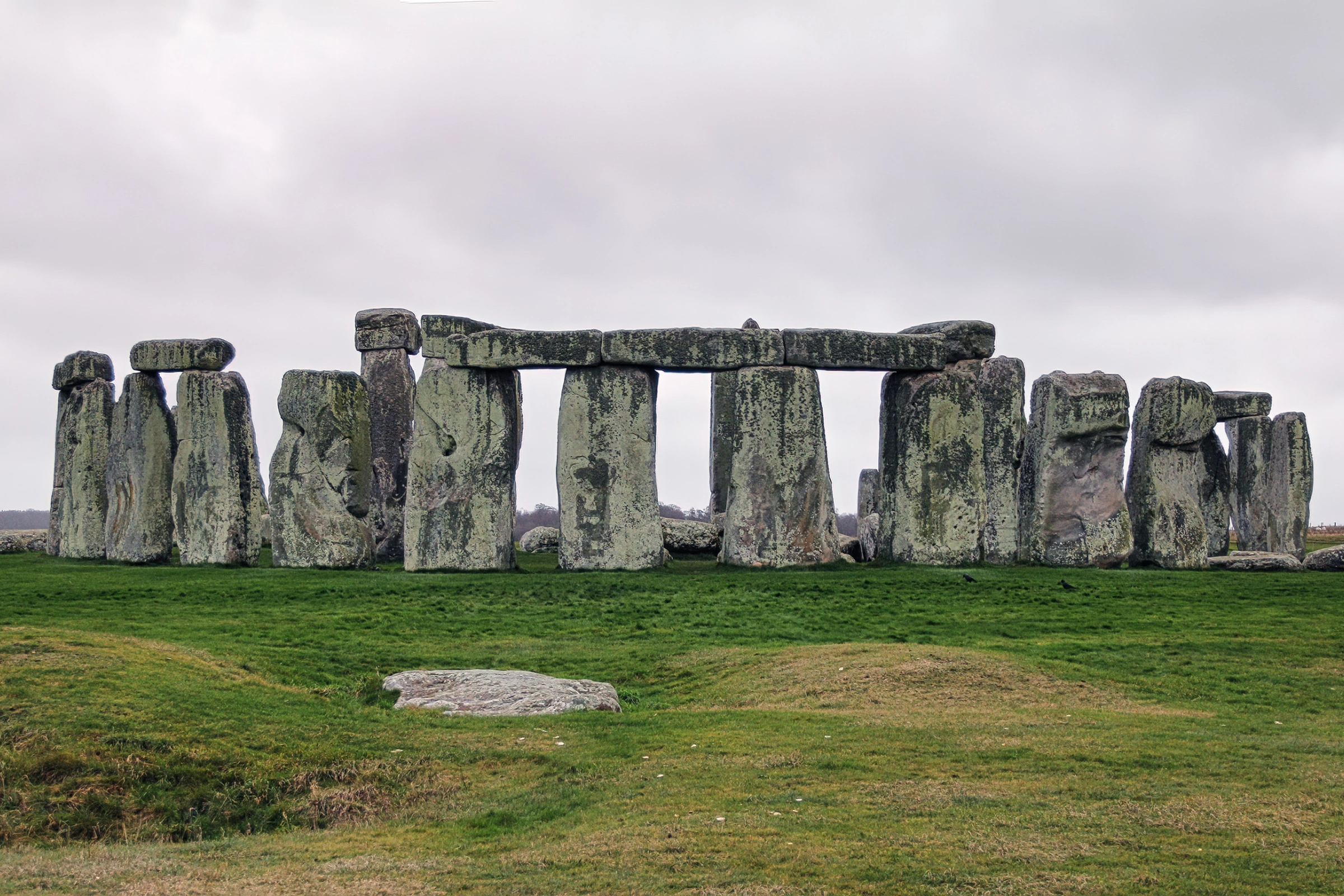 Salisbury_Plain[1].webp